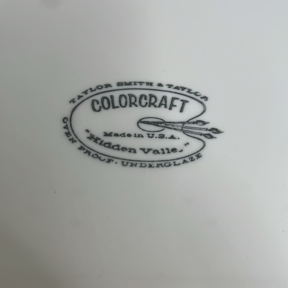 Taylor Smith Colorcraft Floral Plate - Picture 3 of 8